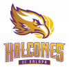 Halcones de Obregon